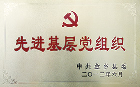 先进基层党组织-2012.jpg